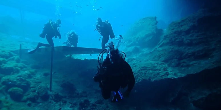 Scalloping & Tours with Seadaddys Dive Center Crystal River Florida Scuba Diving | Blue Grotto Diving Tour  water_sports Scuba Diving