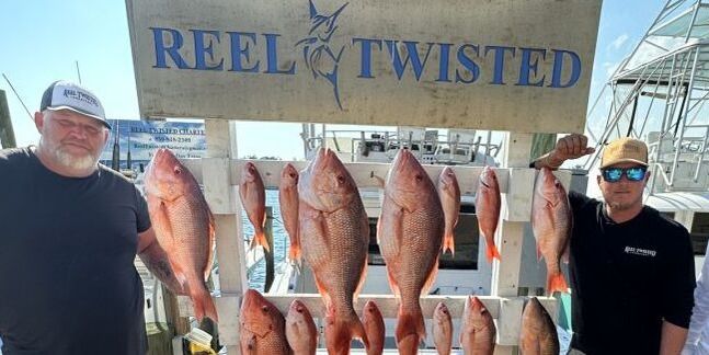 Reel Twisted Charters Inshore Fishing in Panama City FL | 4 HR Private Trip fishing Offshore