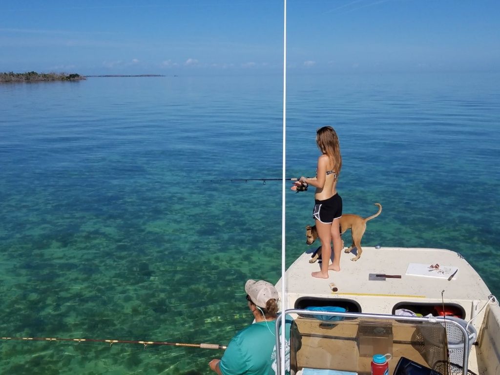 Held Fast Charters 4-Hour Sand Bar Fly Fishing Trip - Cudjoe Key, Fl fishing Shore