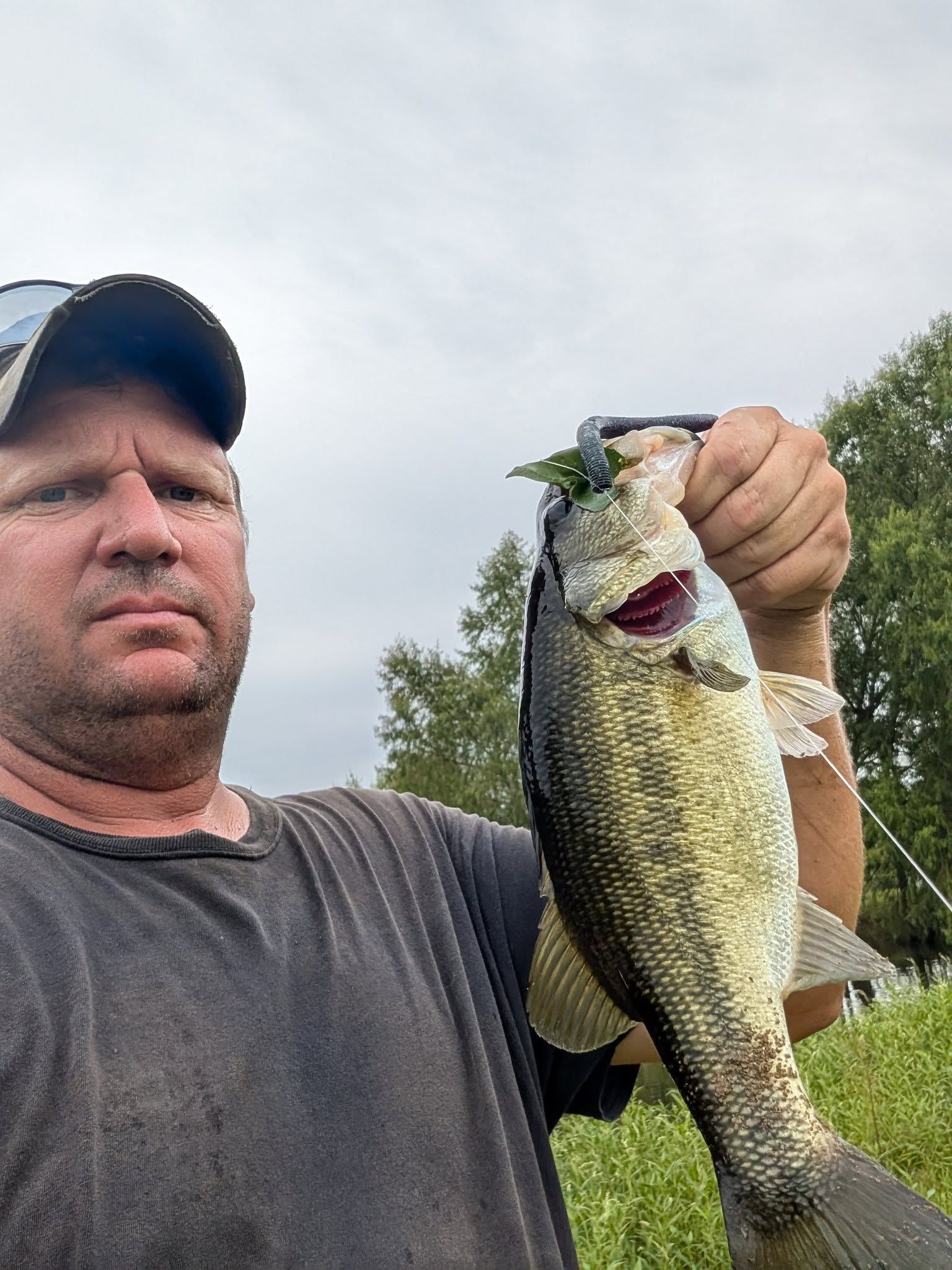 Lake Conroe Bass Fishing M.O.A. Guide Services