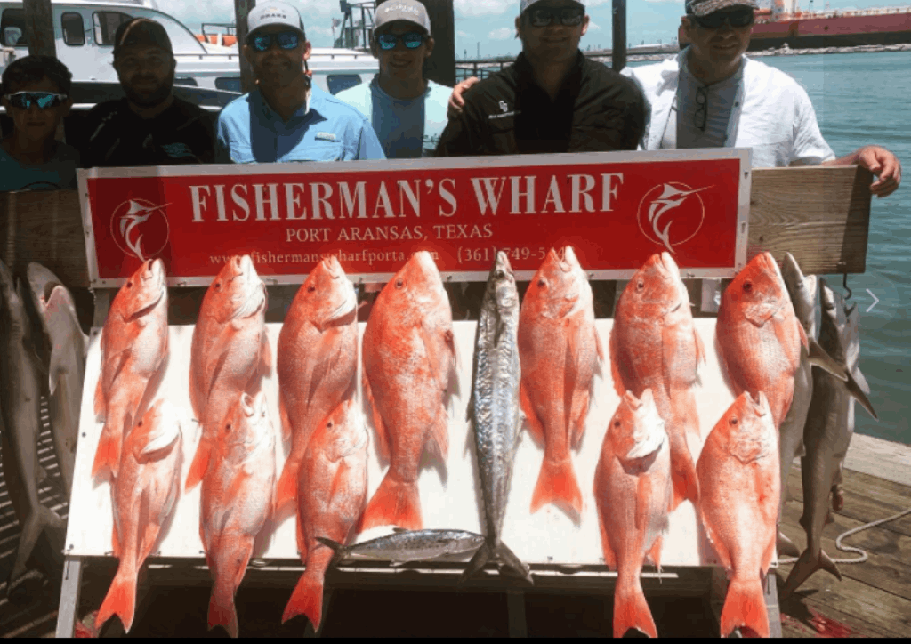 Blue Water Excursions Port Aransas, TX 6 Hour Morning Red Snapper Trip fishing Offshore