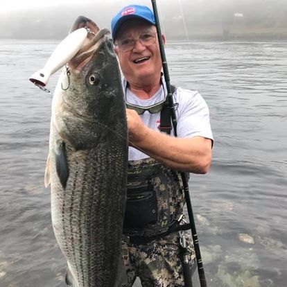 Cape Cod Striped Bass