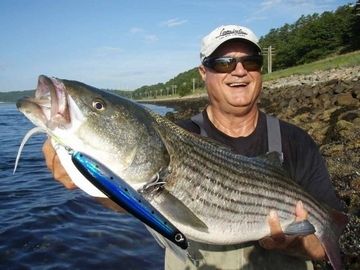 New Personal Record Striped Bass in Cape Cod