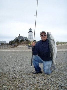 Fish-Species