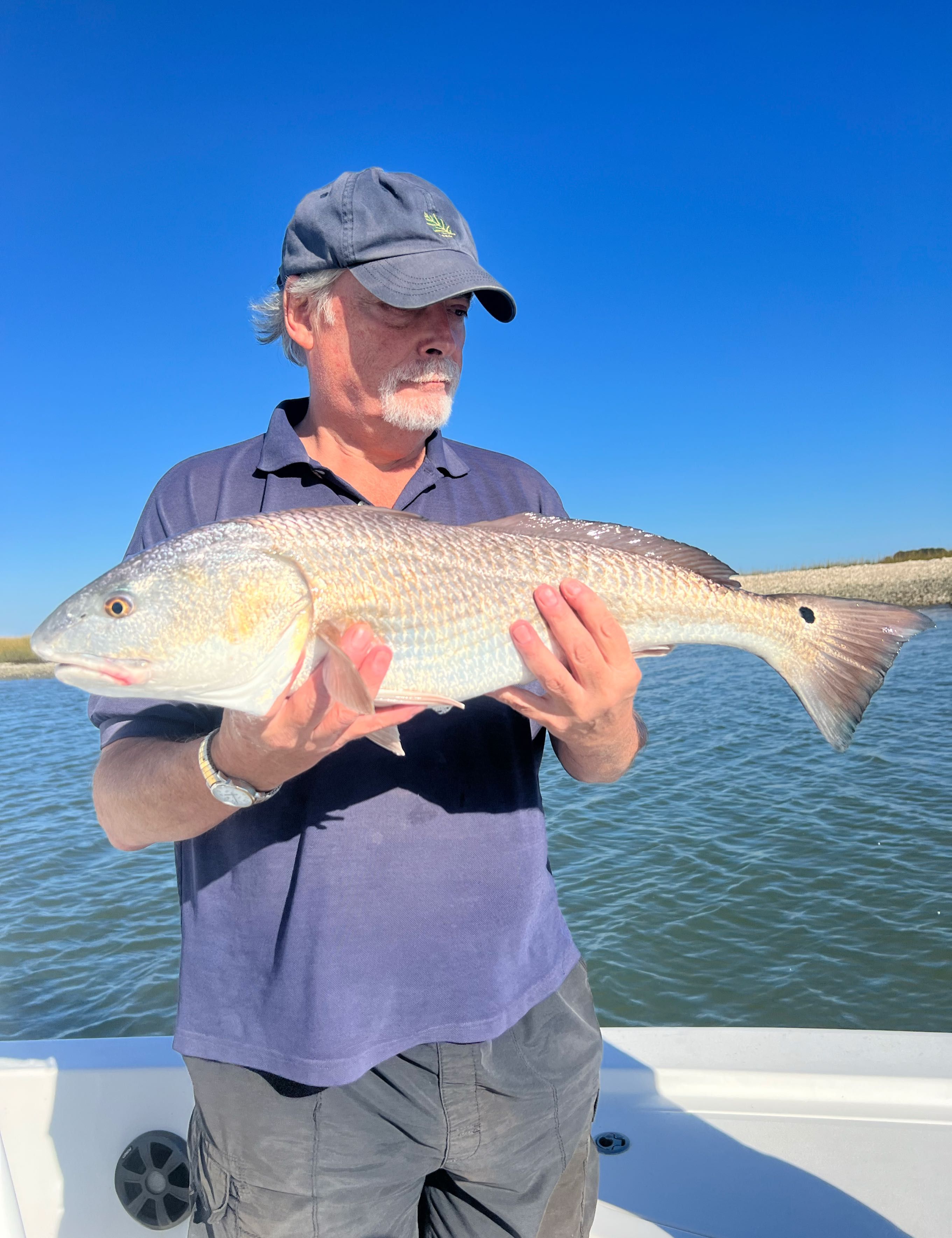 Beautiful Charleston afternoon fishing report coverpicture