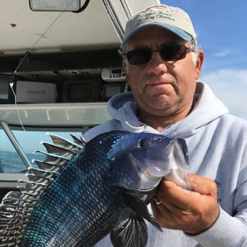Captain Ron's Fishing Charters