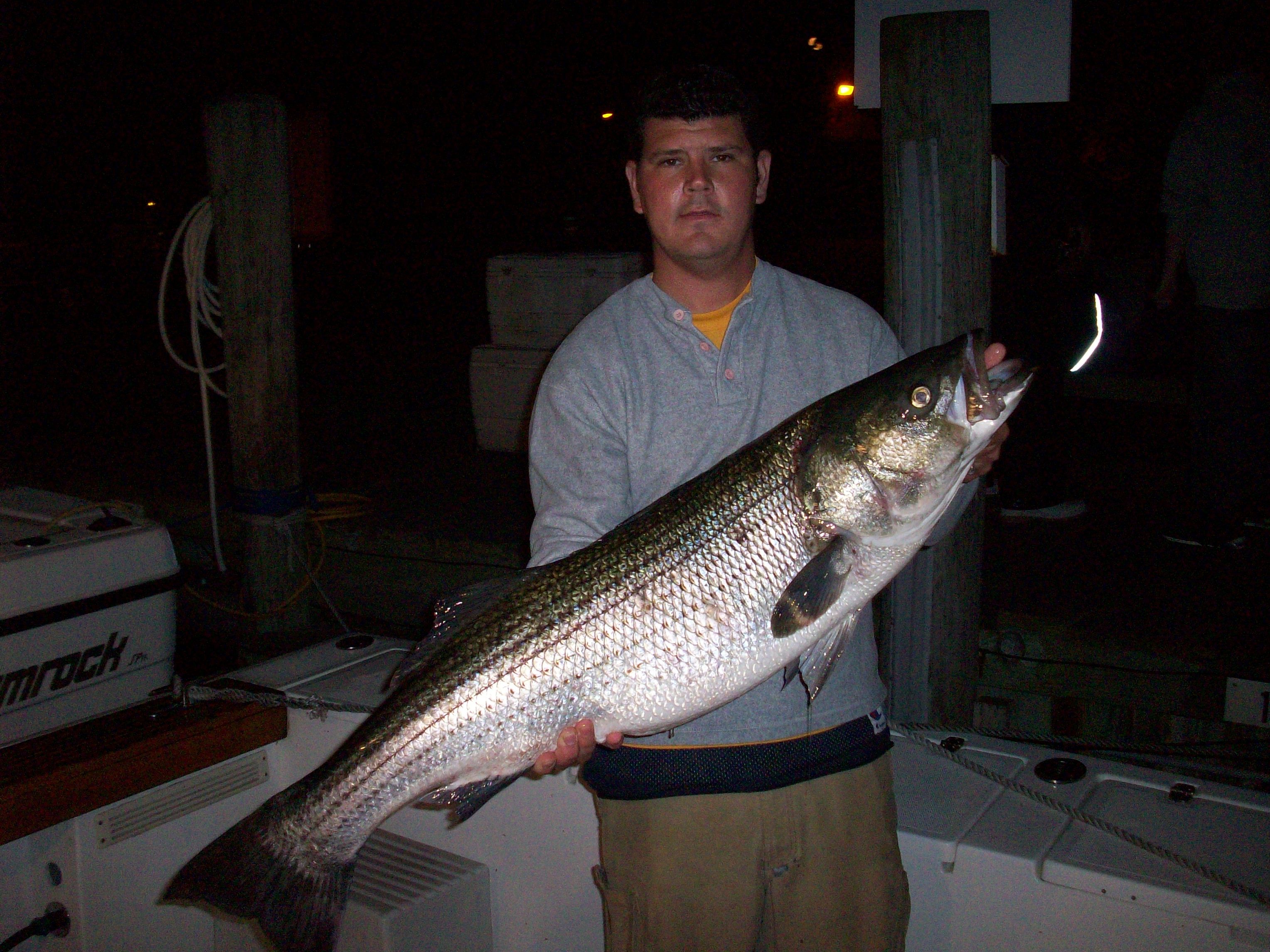 Captain Ron's Fishing Charters Montauk Evening/Night Trophy Bass Fishing fishing Inshore