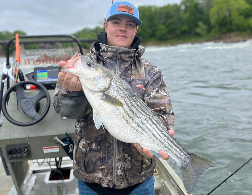 Southern Sun Guides 5 Hour Roanoke Striped Bass Fishing - Weldon, NC fishing River