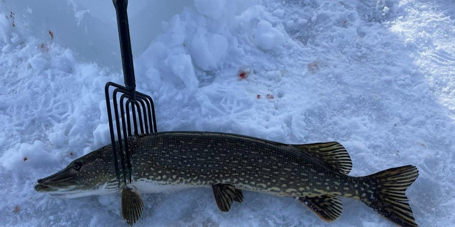 Ice Spearfishing Adventure on Michigan Lakes