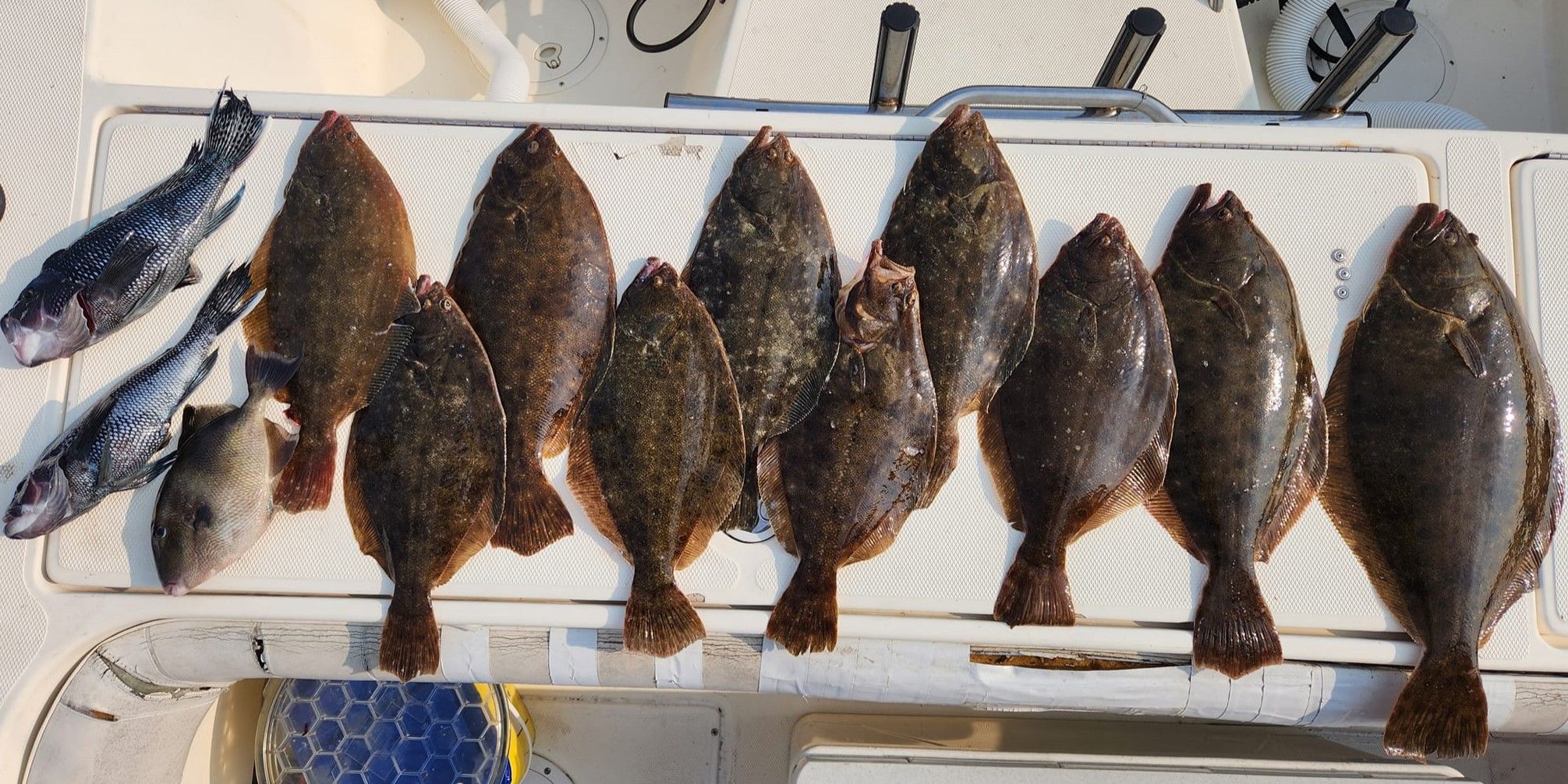 Running Tide Charters Fishing Charter Ocean City Maryland | 8 Hours Ocean Flounder Fishing Trip fishing Inshore
