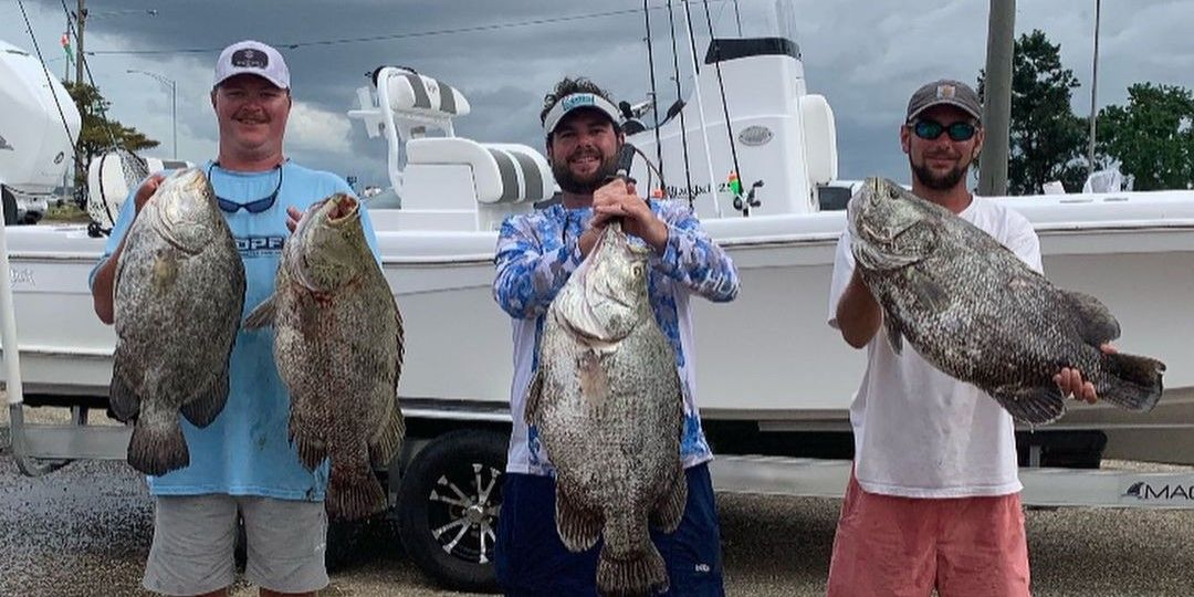 Triple Threat Fishing, LLC Fishing Charters in Gulf Shores | Private 6 or 8 Hour Tripletail Charter Trip fishing Inshore