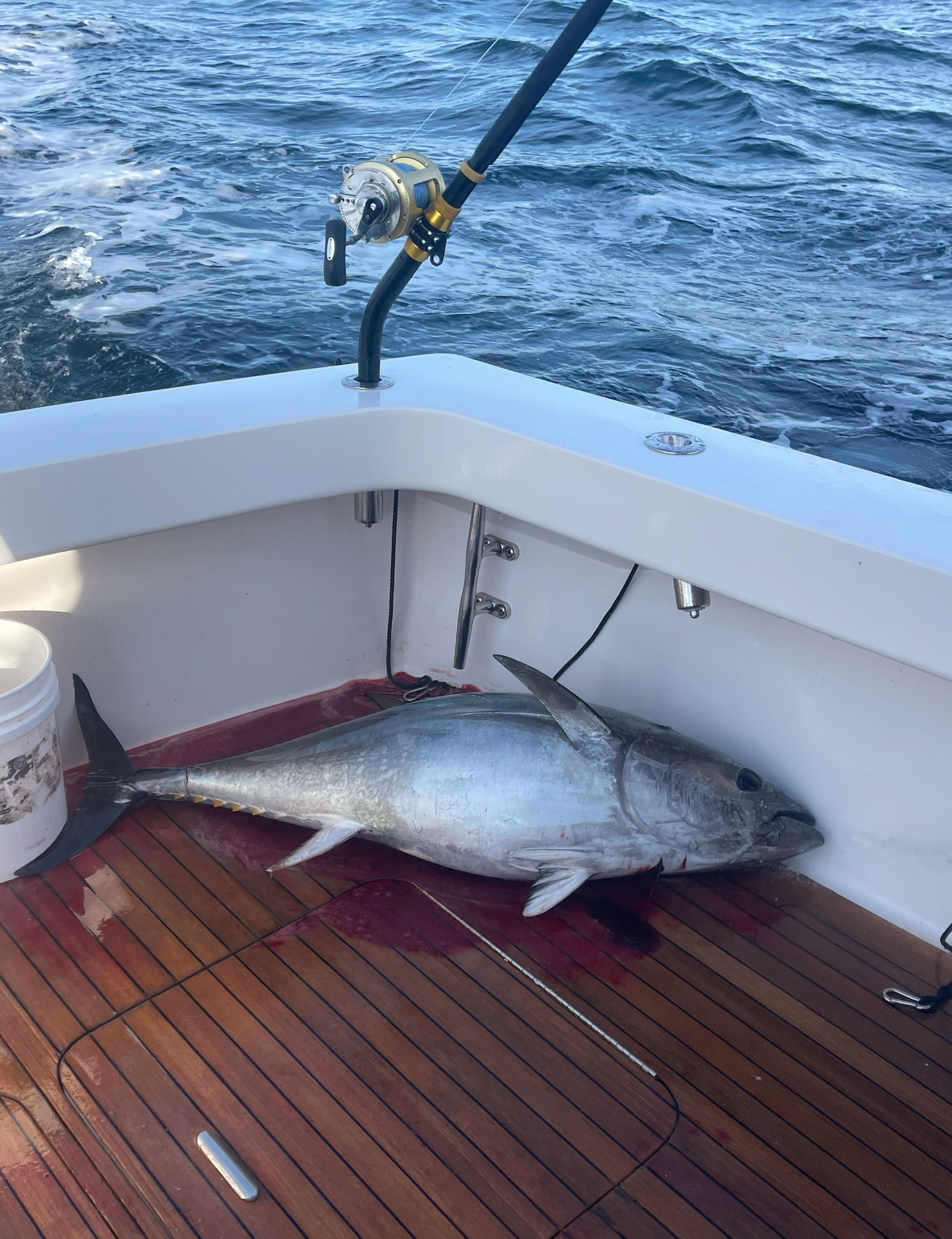 Reel C Charters 12 Hour Private Offshore Jig & Pop or Chunking Trip for Tuna and Dolphin   fishing Offshore