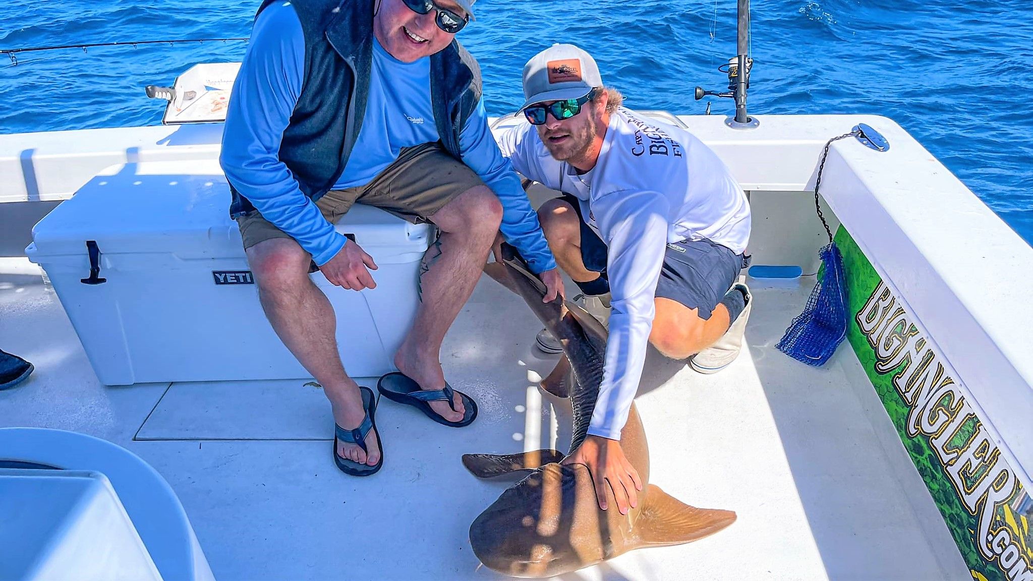 Big Angler Fishing Charters Dare to Go Shark Fishing in Clearwater, FL fishing Inshore
