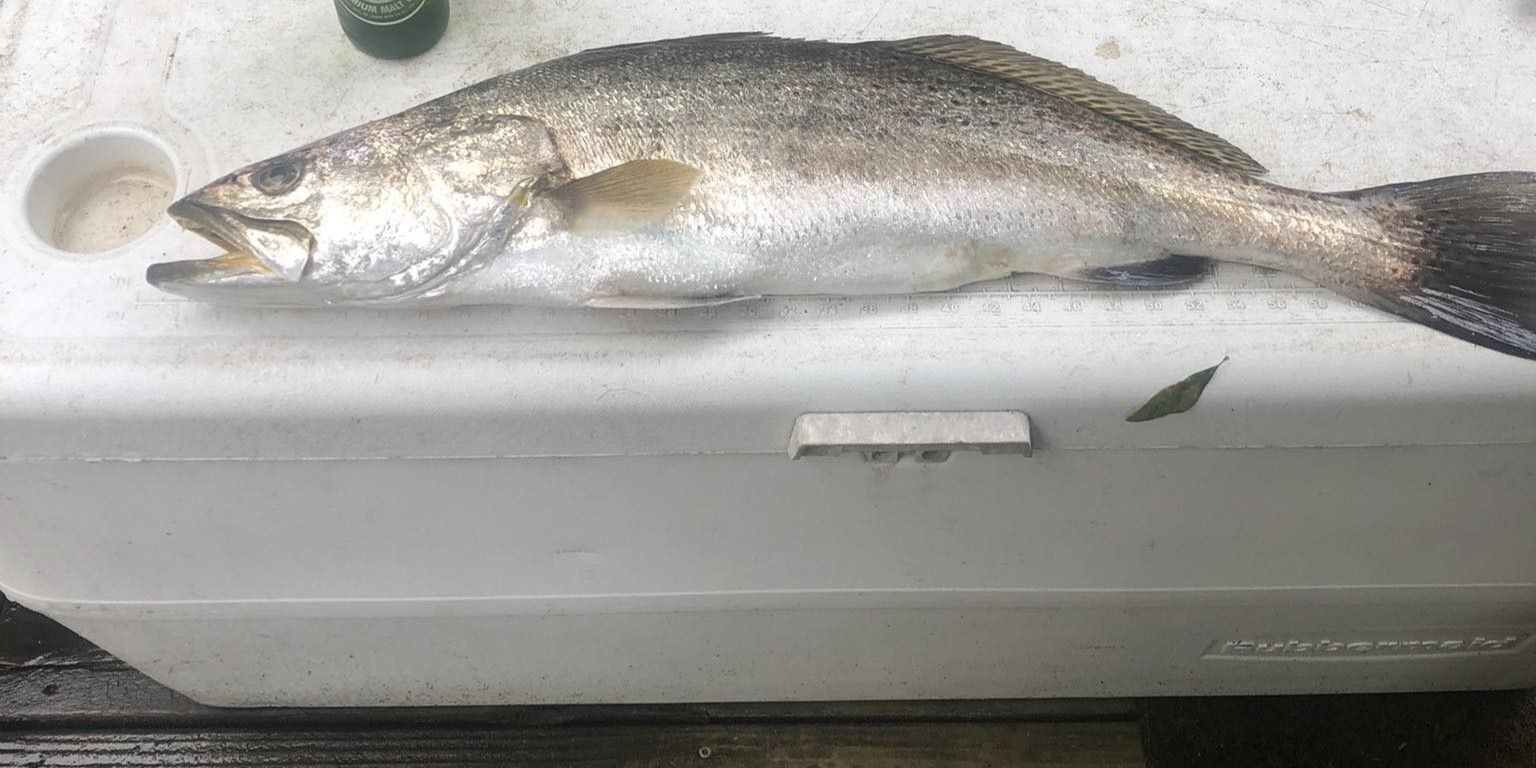 Top-Rated Perdido Key Surf Fishing Adventure