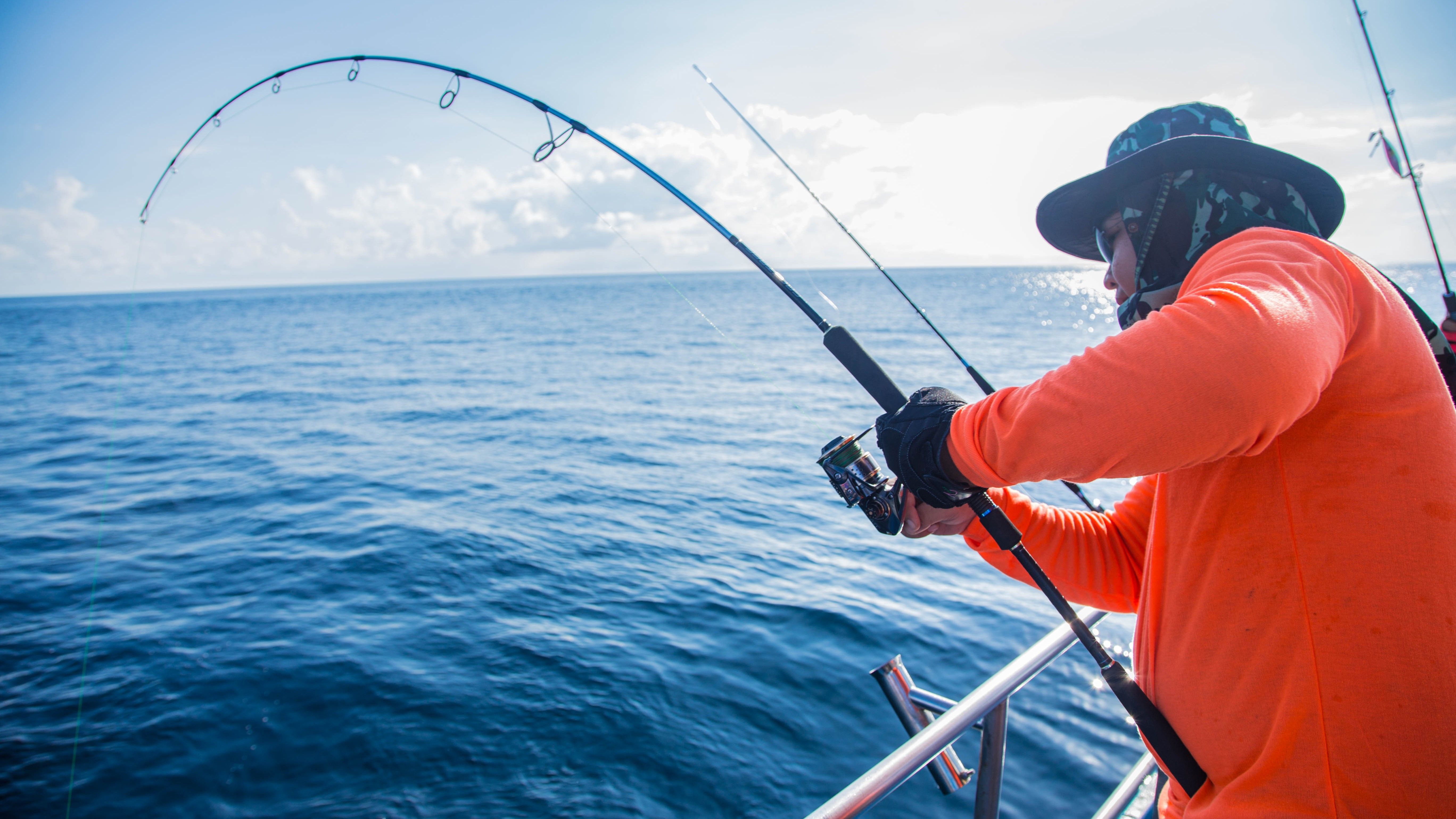 Captain Cook Charters Fishing Charters in Rhode Island | 4HR Inshore Trip fishing Inshore