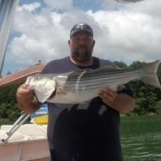 Cherokee Lake Fishing Charter