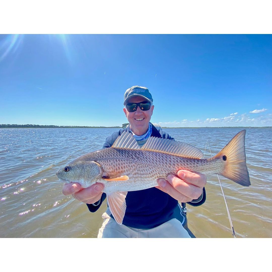 Beautiful redfish in a fly