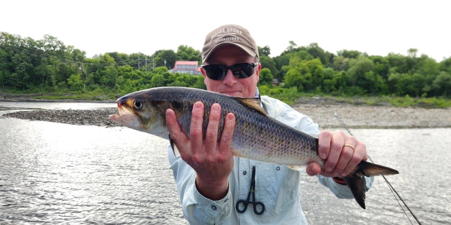 Best Maine Fishing Trip for Beginners