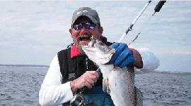 Capt. Dave’s Sport Fishing