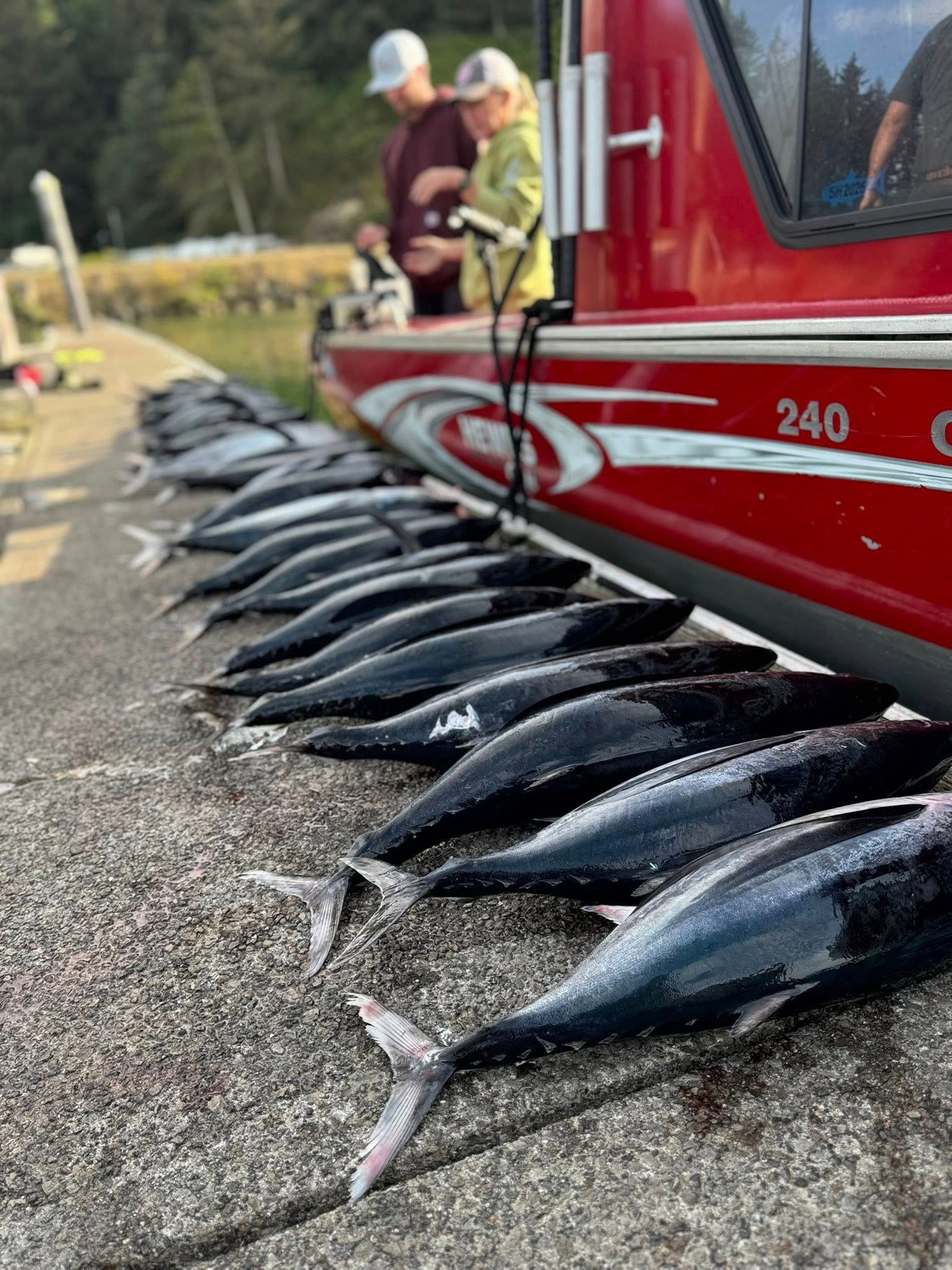 Catch Tuna This Week