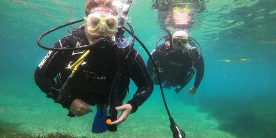 Nature's Adventure Center Crystal River FL Scuba Diving | Open Water Dive Class  water_sports Scuba Diving