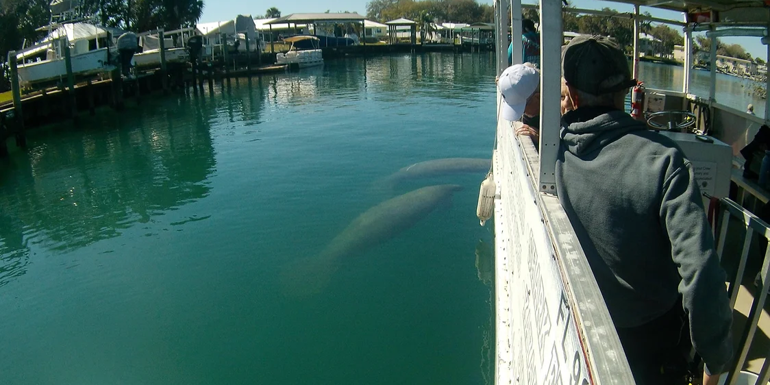 Nature's Adventure Center Boat Tour Crystal River | Wildlife Viewing Tours tours Wildlife