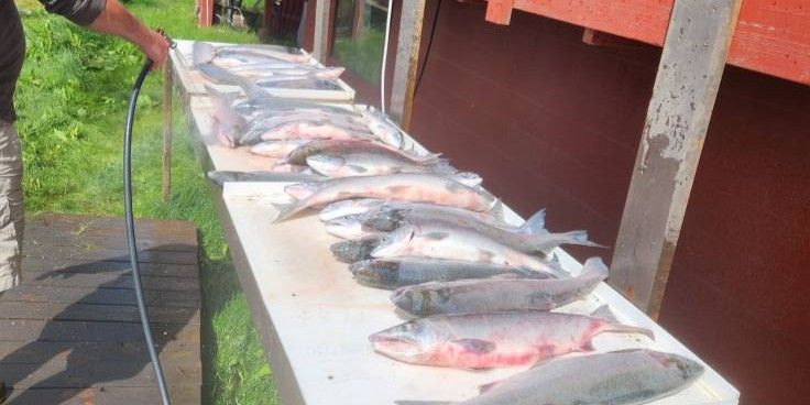 Premium Kenai Alaska River Fishing Boatloads