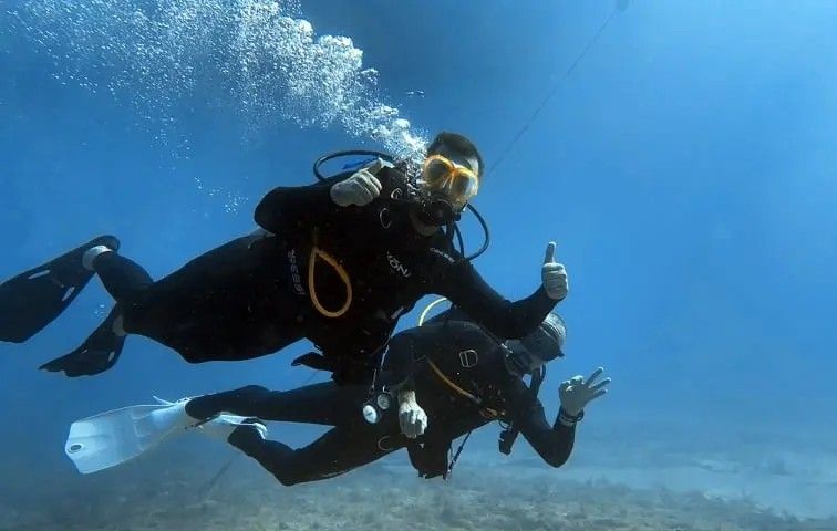 Try Scuba in Key Largo: BlueWater's Top-Rated Intro