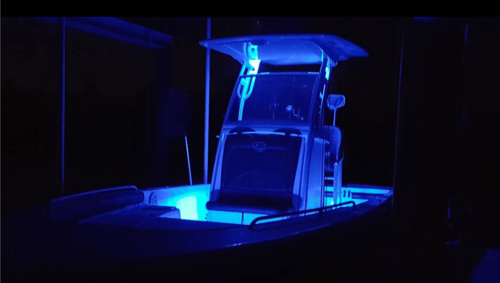 X-Head FIshing Charters Night Time Fish Gigging in Ruskin, FL fishing Inshore