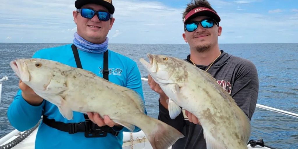 X-Head FIshing Charters 4 Hour Nearshore Fishing Trip in Ruskin, FL fishing Inshore