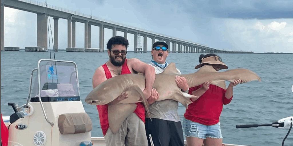 X-Head FIshing Charters 4 Hour Shark Fishing Trip in Ruskin, FL fishing Offshore