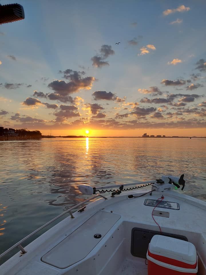 Wildlife River Cruise Port Orange FL