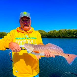 Crystal River Fishing Report |  fishing report coverpicture