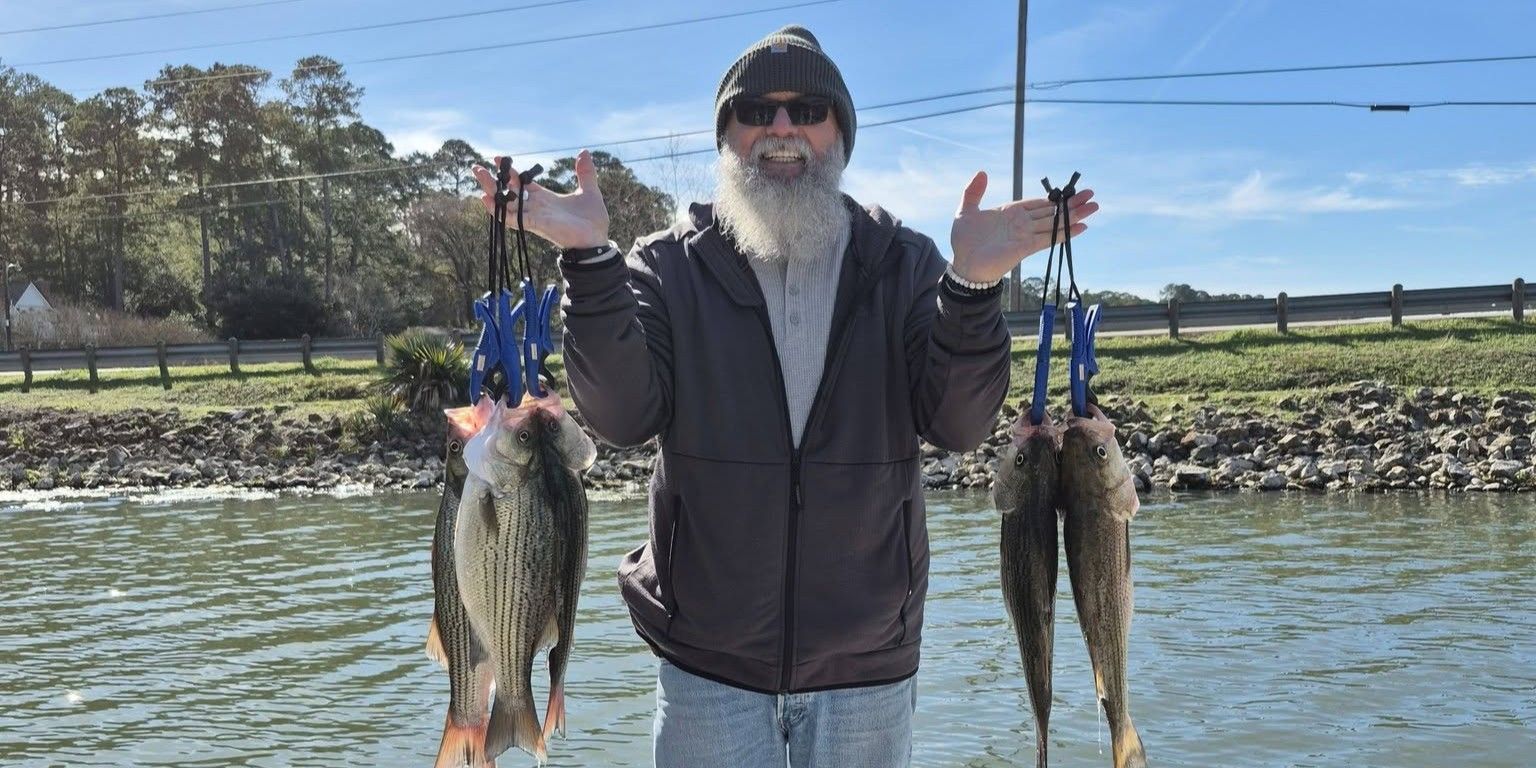 Advanced Catfish Bass Lake Conroe Fish Head