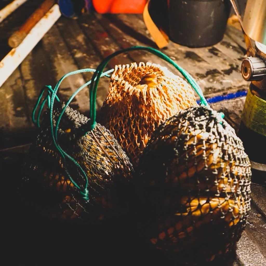 Salt Wing Shooters LLC Razor Clamming in Oregon | 3-4 HR Shared Trip fishing Shore