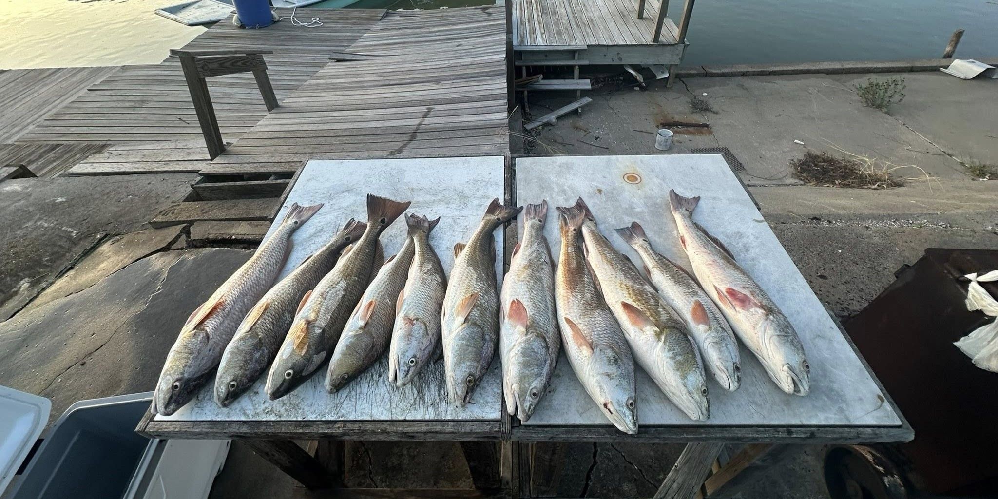 Family Fishing Adventures in Rockport | Live Oak