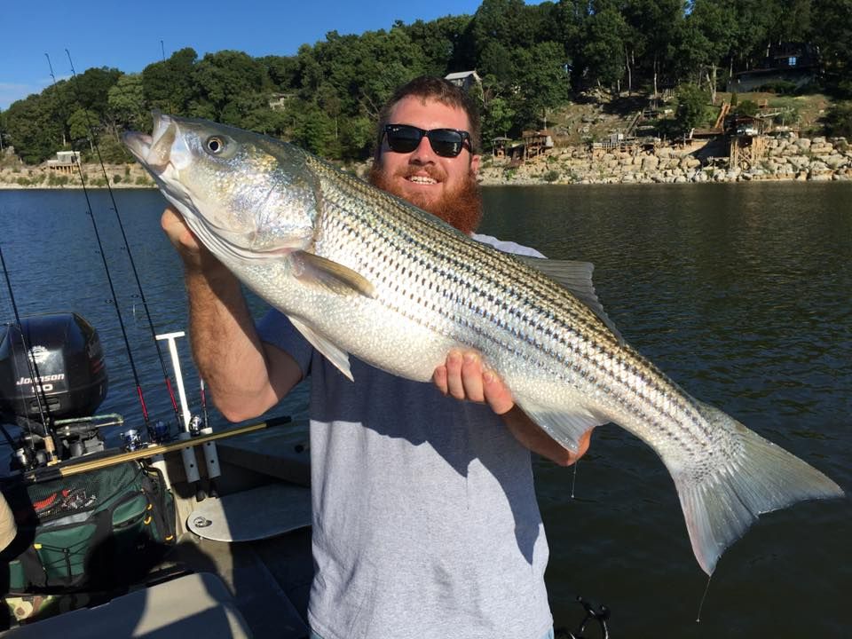 Pro Bass & Trout Trip on Watauga Lake