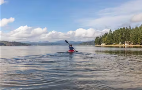 Inlet Charters Across Alaska Adventures Kayaking in Homer Alaska | 4 to 8 Hour Kayaking  cruises Cruise