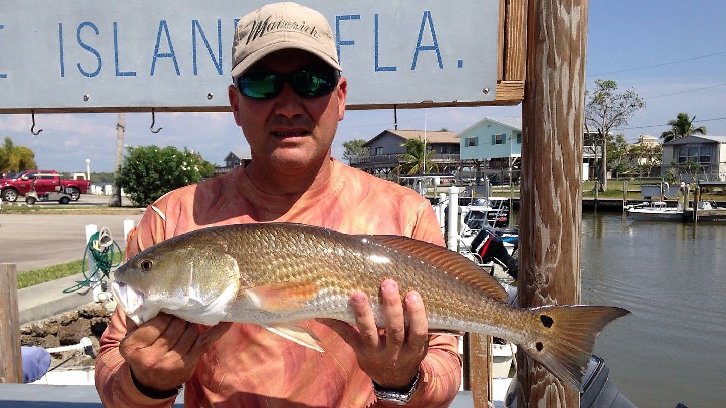 ARF Charters Everglades Fishing Charter | 4HR Trip For Veterans and First Responders fishing Inshore
