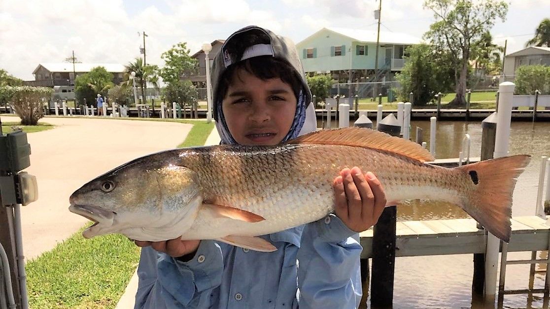 ARF Charters Everglades City Fishing Charters | 6 to 8 hour Trips! fishing Inshore