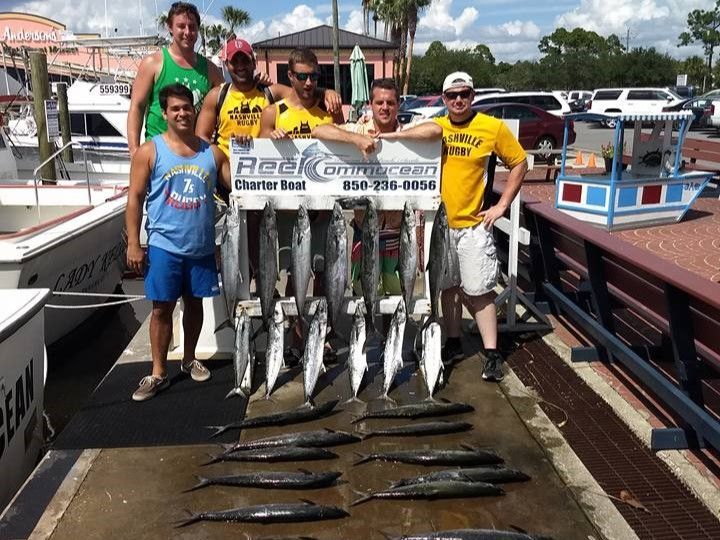 Reel Commocean Fishing Charters Fishing Charter in Panama City Beach | Private 4 Hour Trolling Charter (Seasonal) fishing Offshore