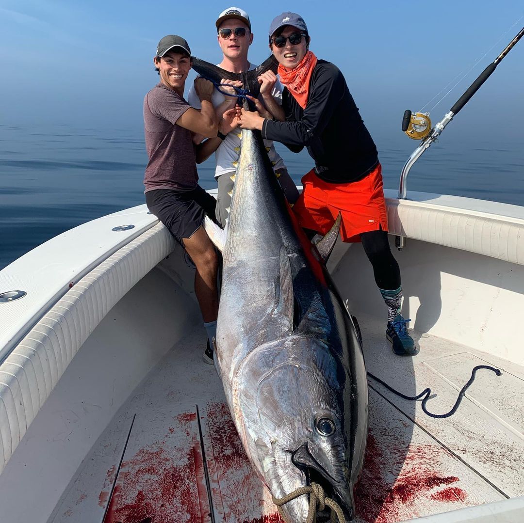 Cape Cod Offshore Tuna Charters - Topwater or Bait - Atlantic, Ocean fishing Offshore