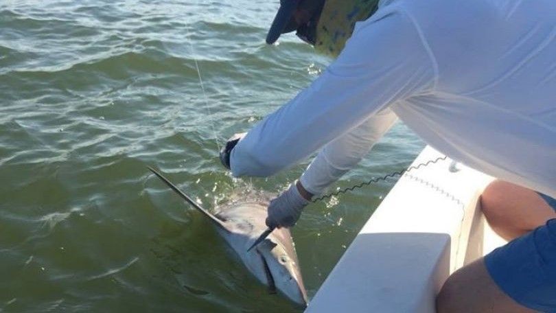Marsh View Fishing Charters Fishing Charters in Charleston SC | Afternoon Shark Fishing Trip - 23' Pathfinder fishing Inshore