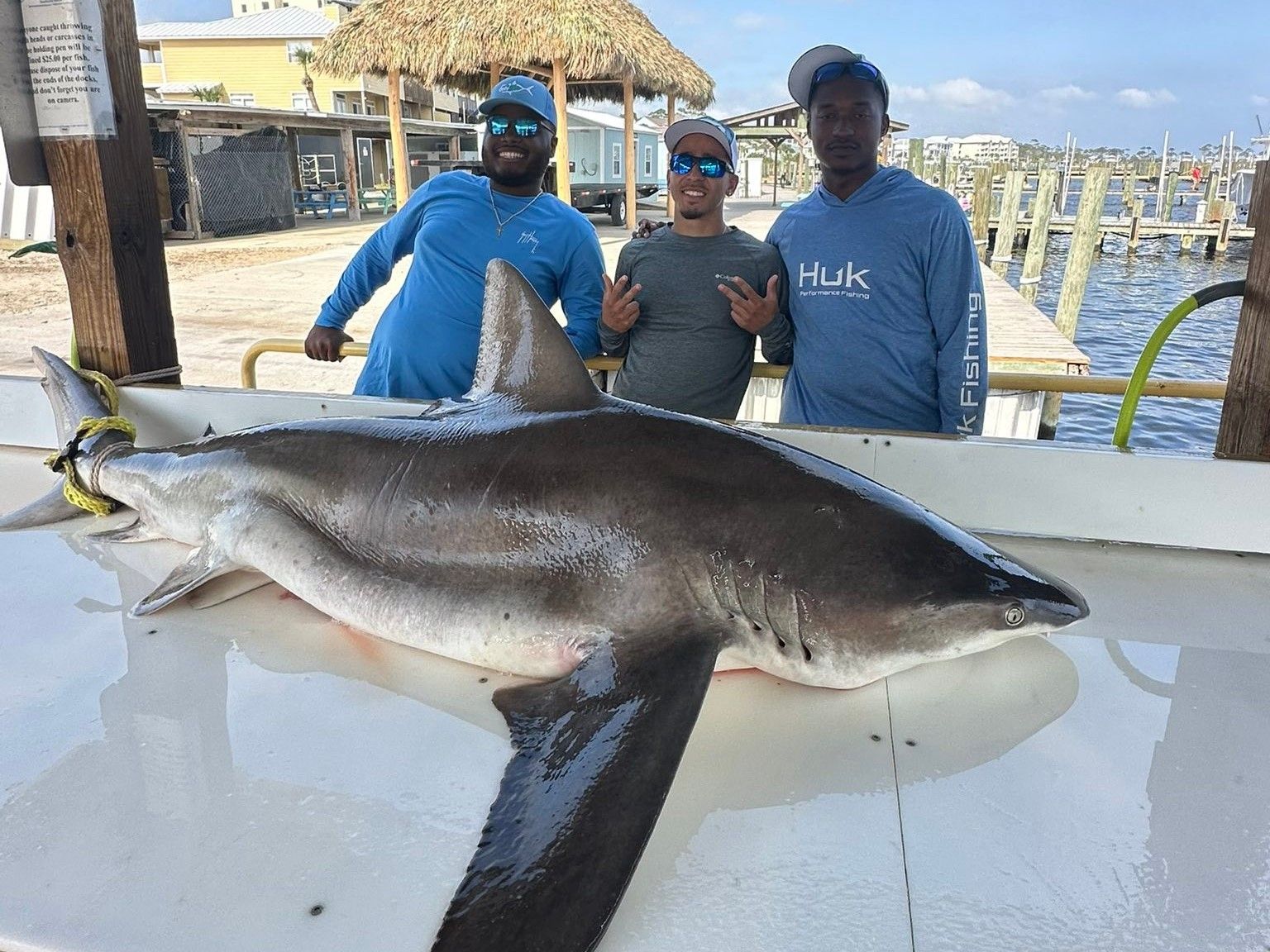 Shark Fishing Charter Pensacola Southern Strike