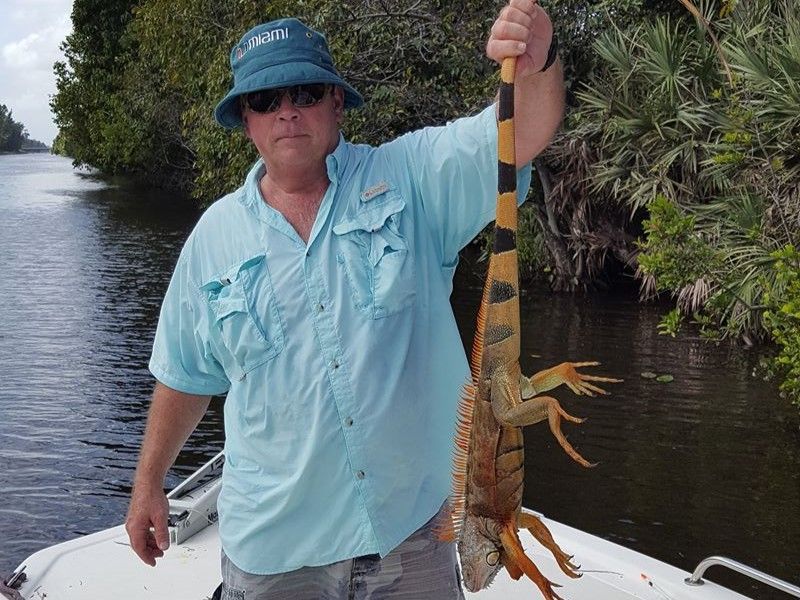 Half Day Iguana Hunting Trip In Florida
