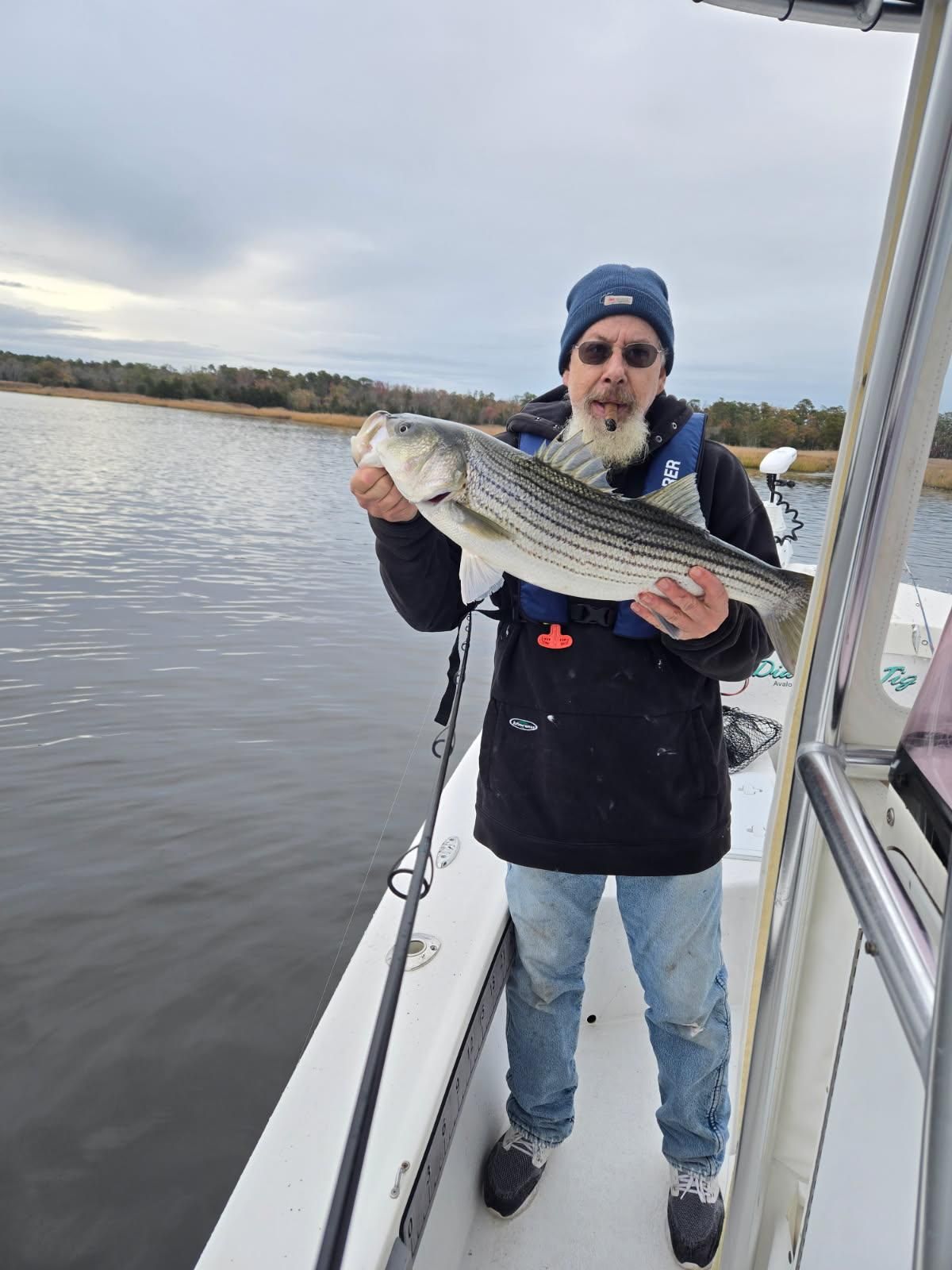4-Hour Fall Striper Fishing Trip