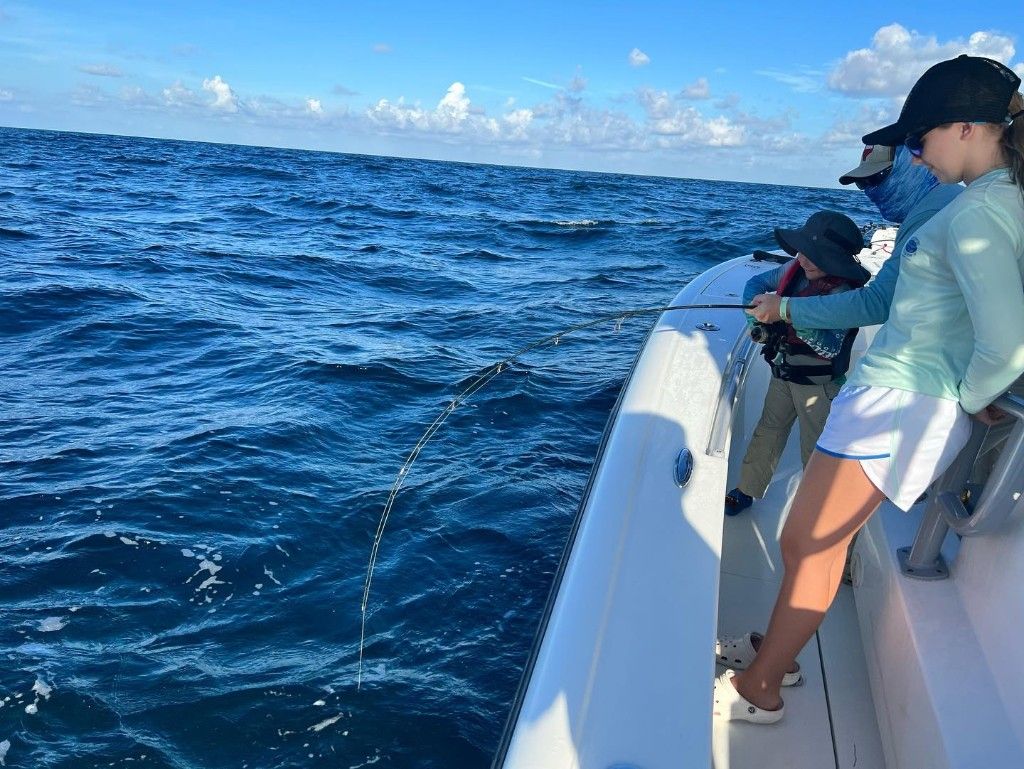 Anchored Charters Guide Service Dolphin Tour - Panama City Beach, FL fishing Inshore