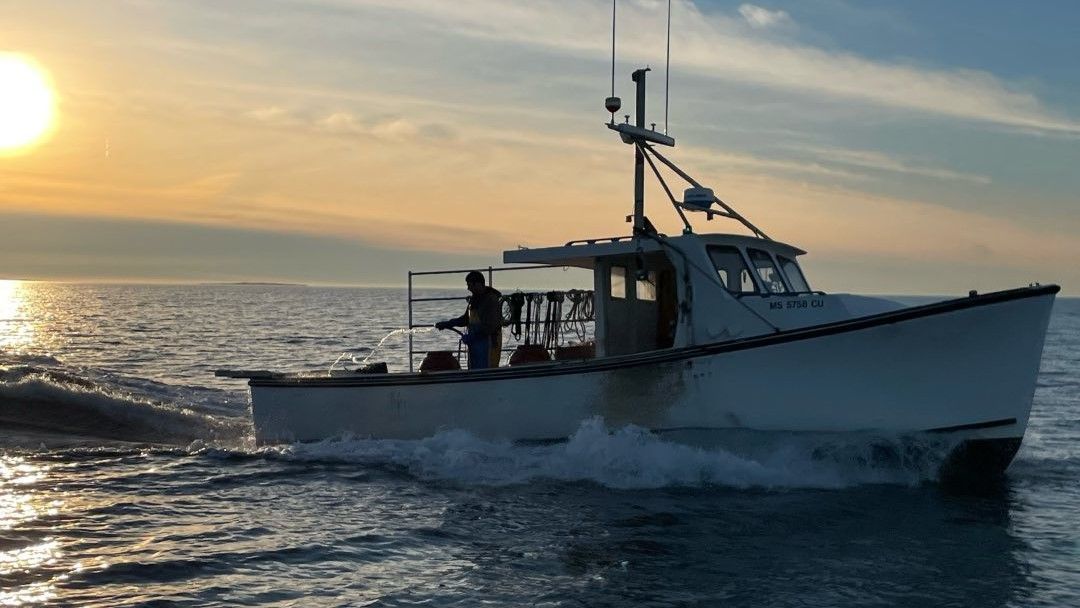 Expert-Guided Fishing Charters in Buzzards Bay