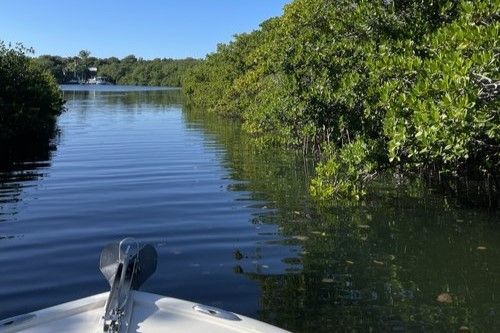 Morris Crew Charters LLC Eco Tours In the Florida Keys fishing Inshore