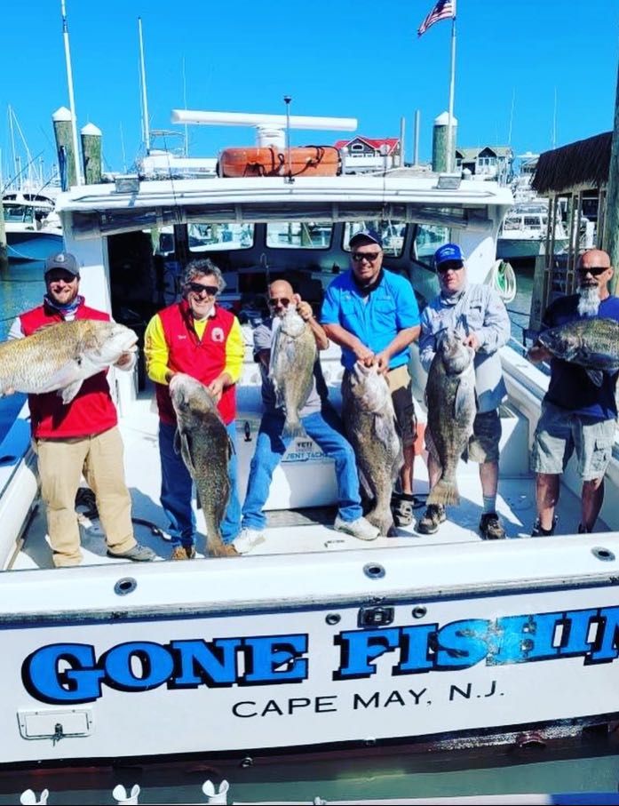 Black Drum in Cape May, NJ